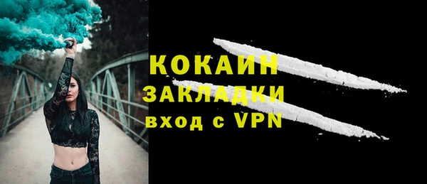 прущие грибы Тавда