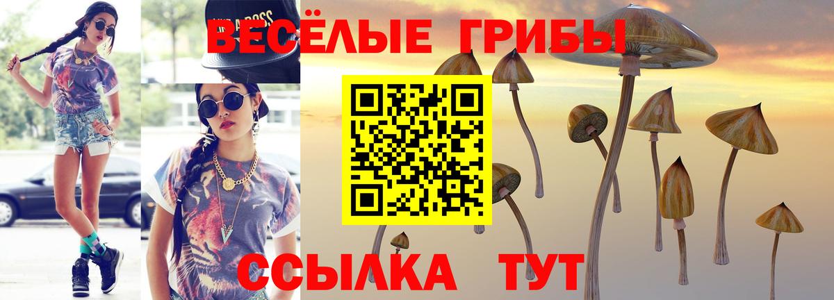 Воткинск  Псилоцибиновые грибы MAGIC MUSHROOMS  даркнет сайт  Вход с VPN  Псилоцибиновые грибы мицелий 